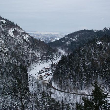 Wohlfuehlzeit Im Zittauer Gebirge Exterior foto